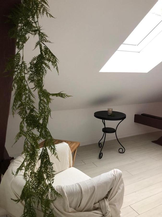 Alsacian Home - Old Town Cosy Apartments 콜마 외부 사진